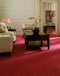 Wool Carpet Cleaning Wool Carpet Cleaning